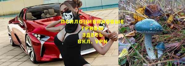 соль курить ск Алексеевка