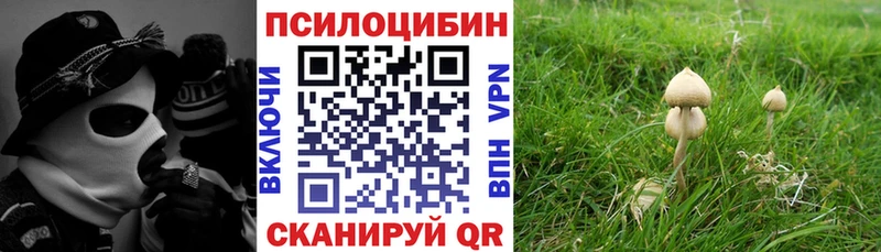 Псилоцибиновые грибы мухоморы  Тихвин 